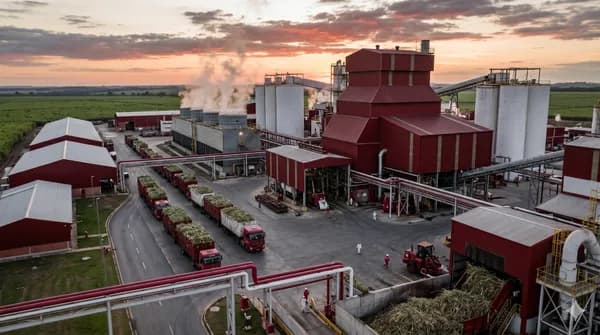 Sugar industry